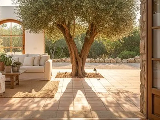 אחרי גיזום ועיצוב עצים: העץ נקלט היטב והתחיל להוציא עלים חדשים כעבור חודשיים – אילן הגנן, הוד השרון
